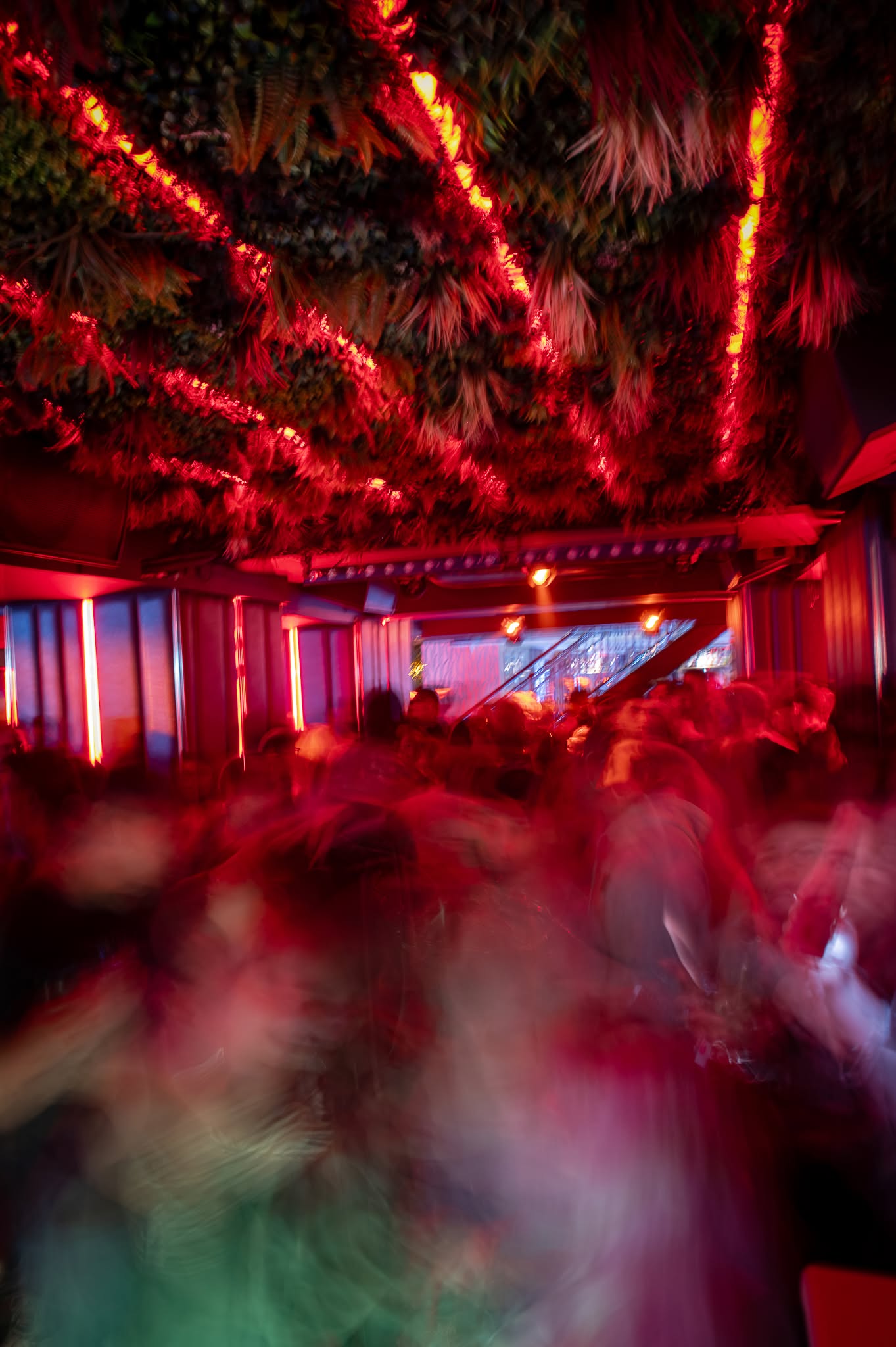 The club packed under red light beneath the foliage